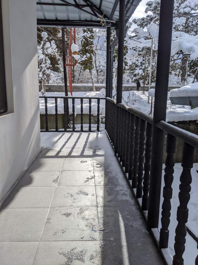 New Borjomi Apartment Exterior photo